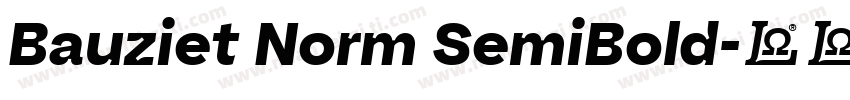 Bauziet Norm SemiBold字体转换